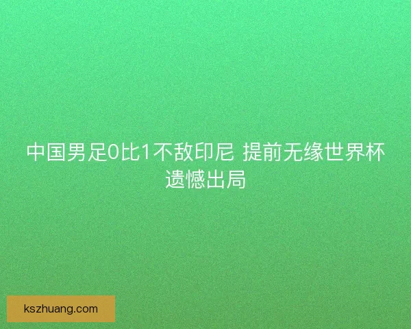 中国男足0比1不敌印尼 提前无缘世界杯遗憾出局